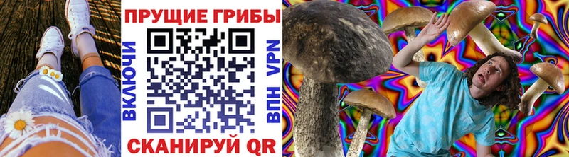 Купить закладки  Волжск  Галлюциногенные грибы ЛСД 